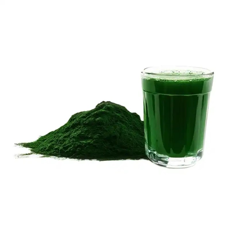 Organic Chlorella Powder Manufacturer - Pure Natural High Quality Wholesale Bulk Chorella Tablets Supply