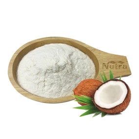 Organic Coconut Milk Powder Manufacturer - Instant Soluble Powder for Beverage Supply