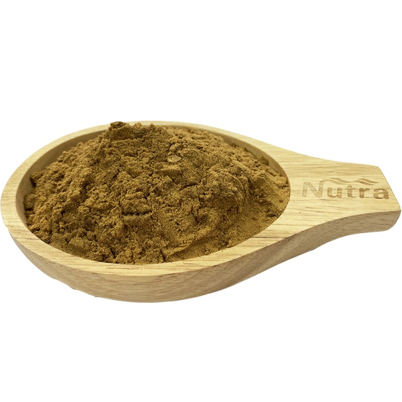 Cola Acuminata Kola Nut Extract Manufacturer - Hot Selling ISO Kosher Halal Certificated Organic Powder