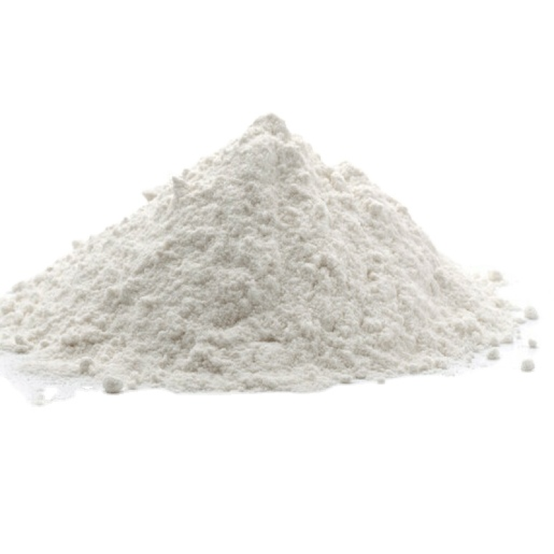 Probiotics Powder Manufacturer - Free Sample Available Best Price for Wholesale Supply