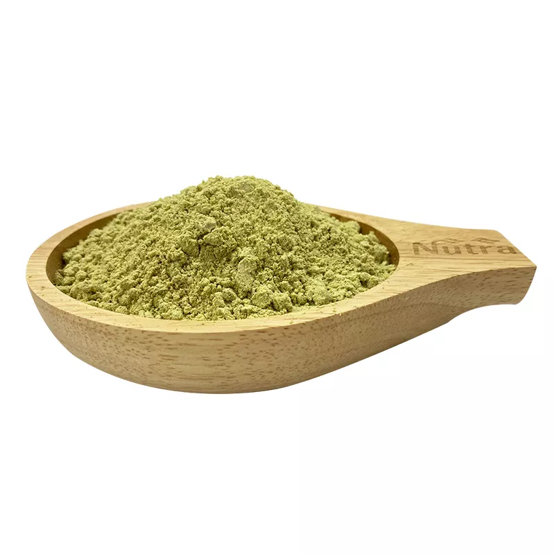 Pumpkin Seed Extract Manufacturer - Factory Supply Organic 20:1 Food Grade Pumpkin Seed Protein Powder