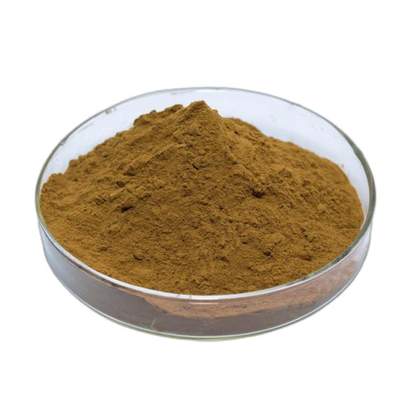 Lion's Mane Mushroom Extract Powder Manufacturer - Cheap Price Hericium Erinaceus Polysaccharide Supply