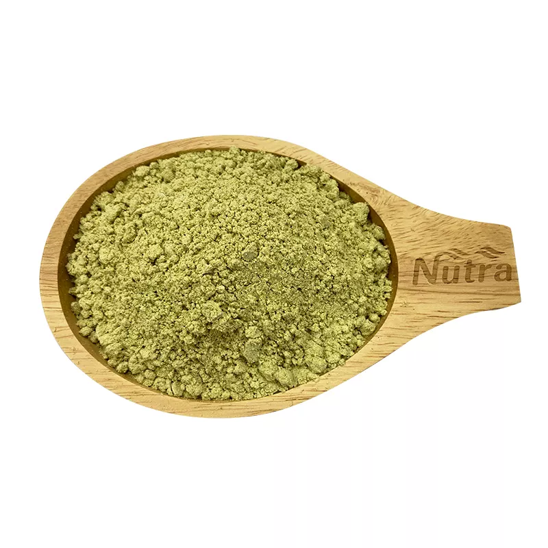 Pumpkin Seed Extract Manufacturer - Factory Supply Organic 20:1 Food Grade Pumpkin Seed Protein Powder