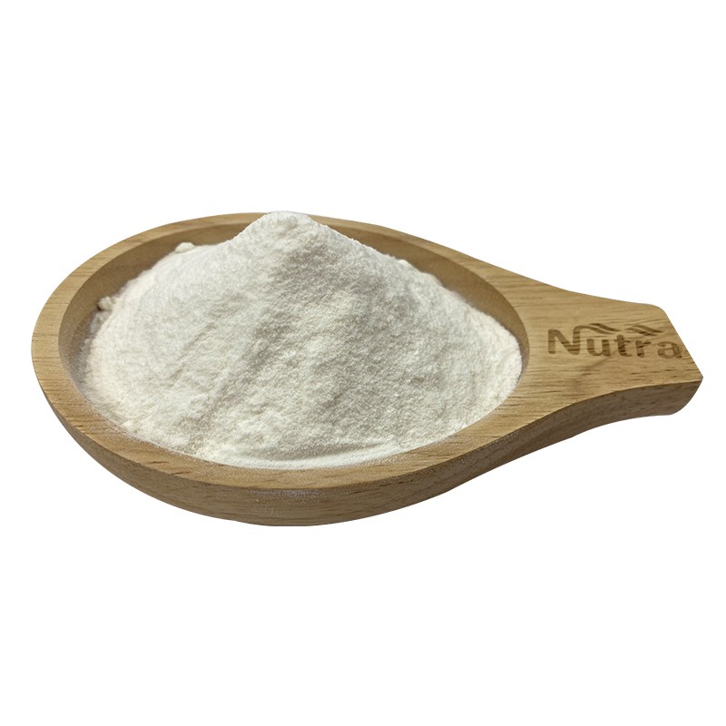 Organic Coconut Milk Powder Manufacturer - Instant Soluble Powder for Beverage Supply