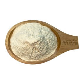 Hemp Protein Powder Manufacturer - Wholesale Superfoods Seed High Quality Light Green Organic Hemp Isolate Powder 2 Years