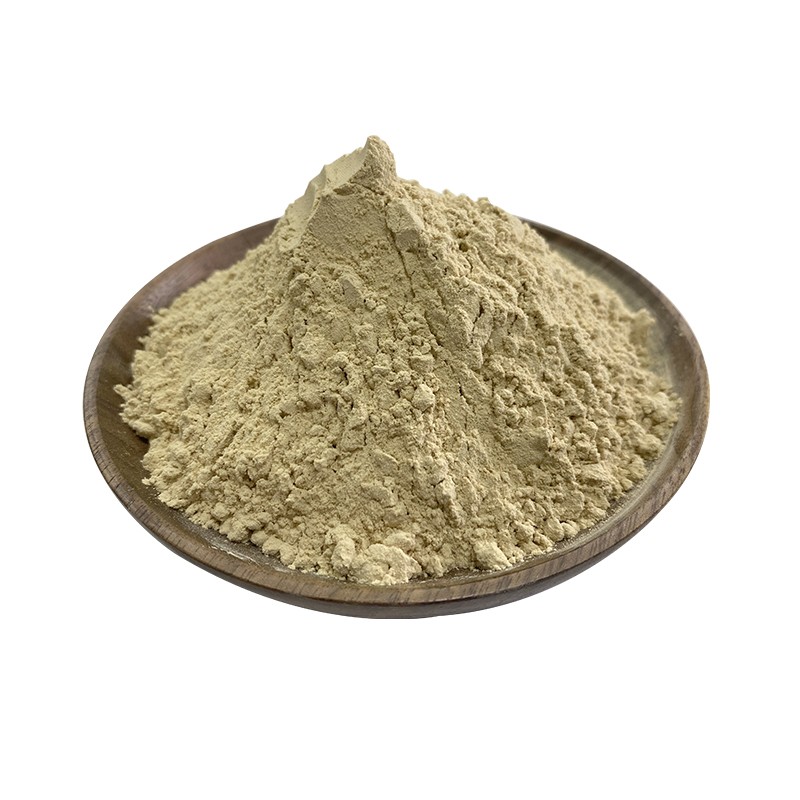 Non-dairy Creamer Manufacturer - Factory Price Vegetable Fat Powder Non-dairy Powder