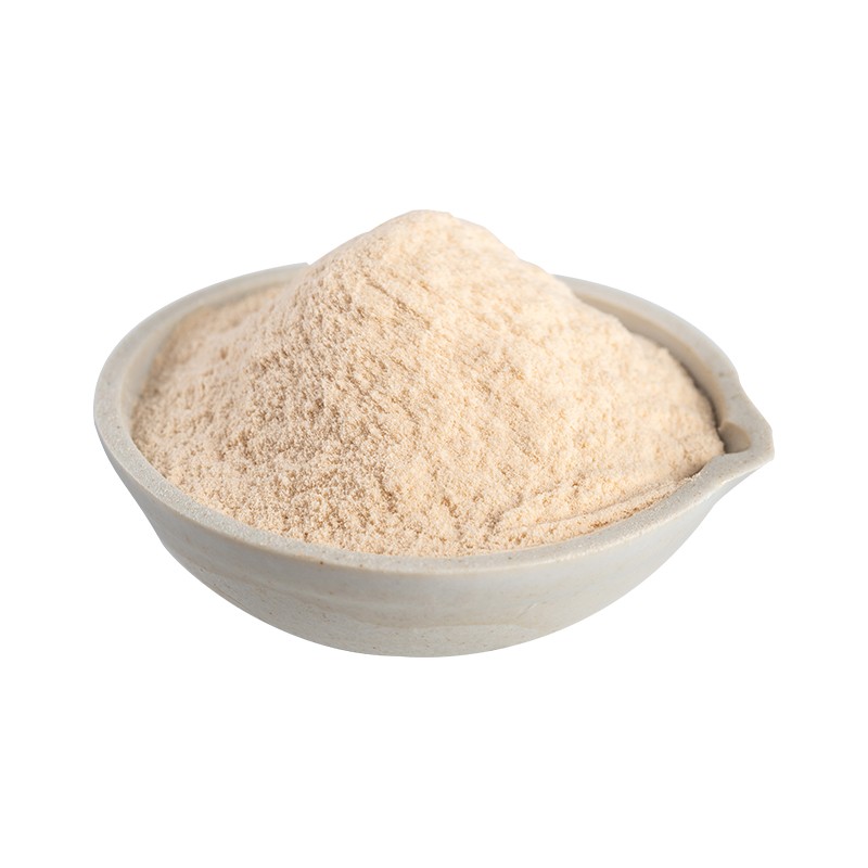 Psyllium Husk Extract Powder Manufacturer - 98% Fiber Content Best Price Supply