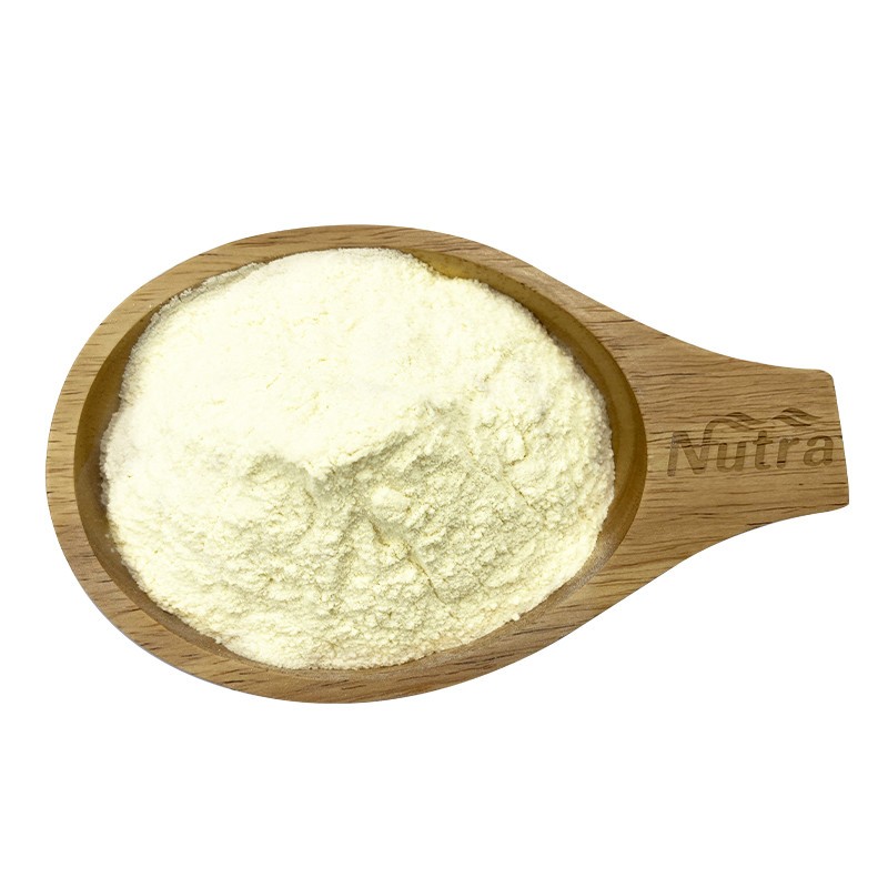 Organic Pea Protein Manufacturer - Wholesale Ideal Vegan Plant Protein for Nutrition Supplement