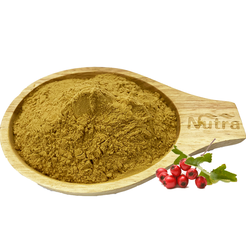 Hawthorn Extract Manufacturer - High Quality Hawthorn Fruit Powder Crataegus Pinnatifida Extract Supply