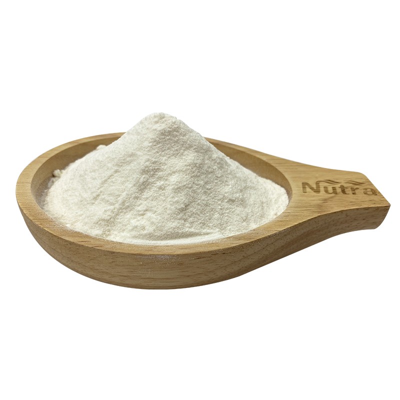Organic Coconut Milk Powder Manufacturer - Instant Soluble Powder for Beverage Supply