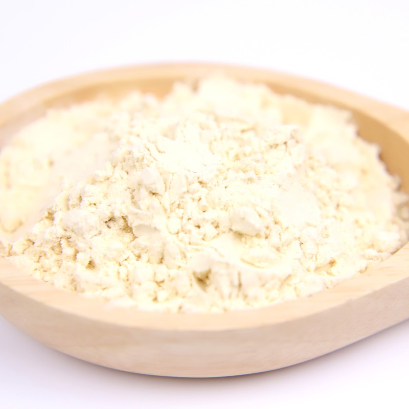 Organic Pea Protein Isolate Manufacturer - Factory Price Pea Protein Powder