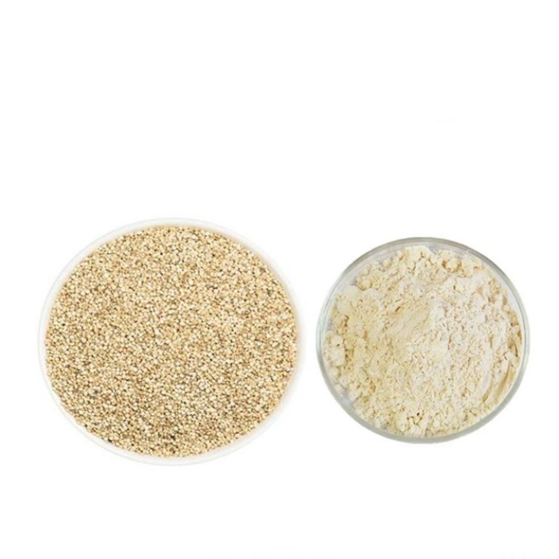 Organic Pea Protein Manufacturer - Wholesale Ideal Vegan Plant Protein for Nutrition Supplement