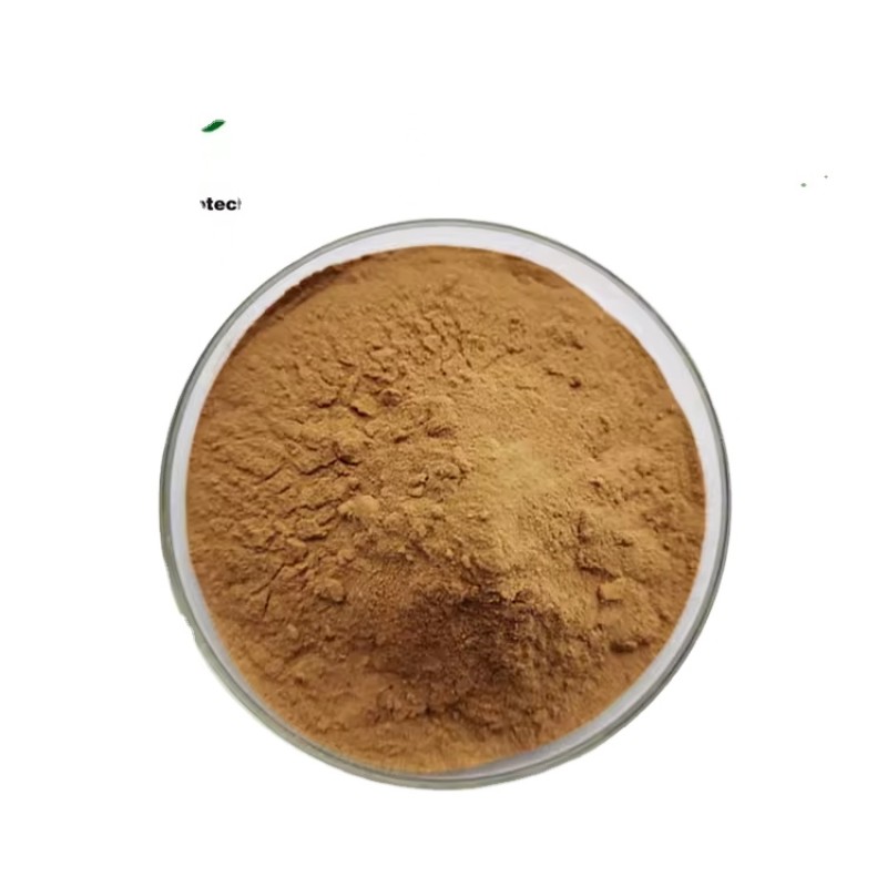 Tempeh Extract Powder Manufacturer - Food Grade Powder for Health Care Supply