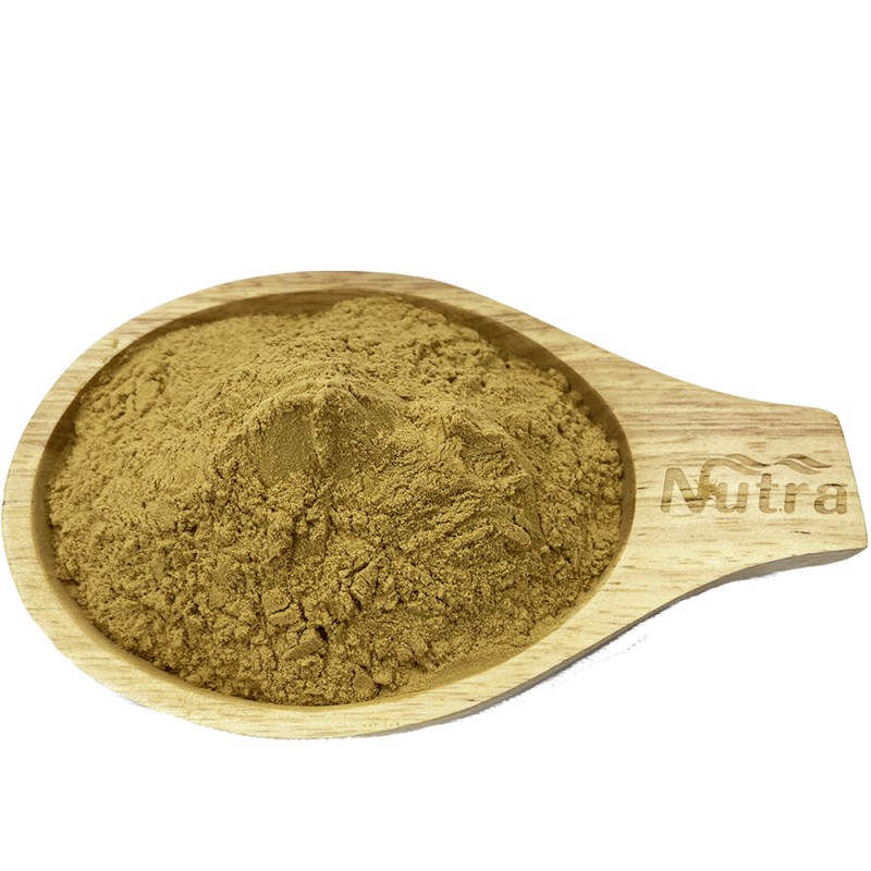 Cola Acuminata Kola Nut Extract Manufacturer - Hot Selling ISO Kosher Halal Certificated Organic Powder