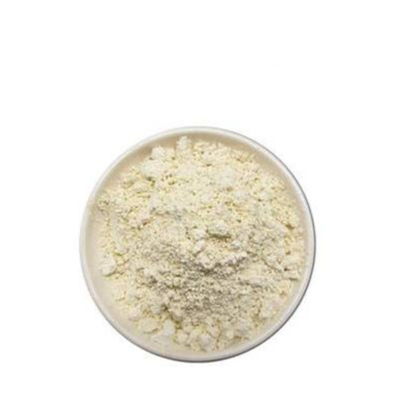 Psyllium Husk Extract Powder Manufacturer - 98% Fiber Content Best Price Supply