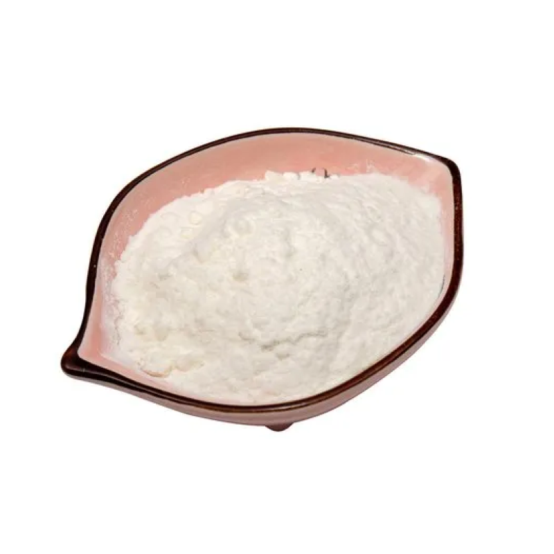 Probiotics Powder Manufacturer - Free Sample Available Best Price for Wholesale Supply