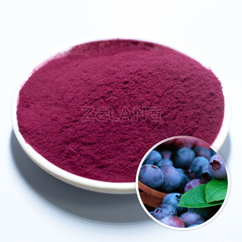 Freeze Dried Blueberry Juice Powder Manufacturer - High Quality 99.99% Water Soluble Fresh Powder
