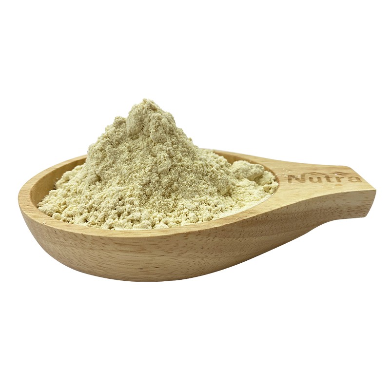 Organic Bee Honey Powder Manufacturer - High Quality Instant Bee Honey Powder Supply