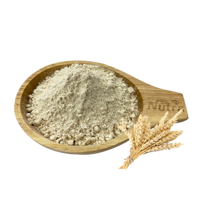 Gluten-free Oat Milk Powder Manufacturer - Non-Additive Powder for Meal Replacement