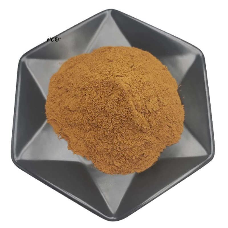 Tempeh Extract Powder Manufacturer - Food Grade Powder for Health Care Supply