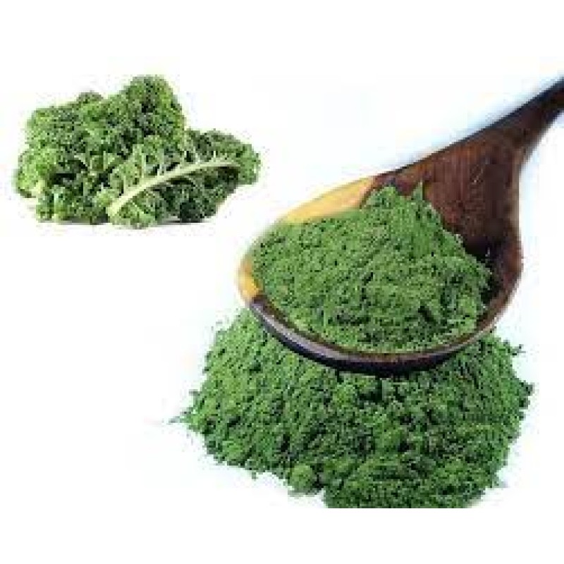 Organic Kale Powder Manufacturer - Hot Selling Vegetable Powder Solvent Extraction Leaf Fruit Dry Powder