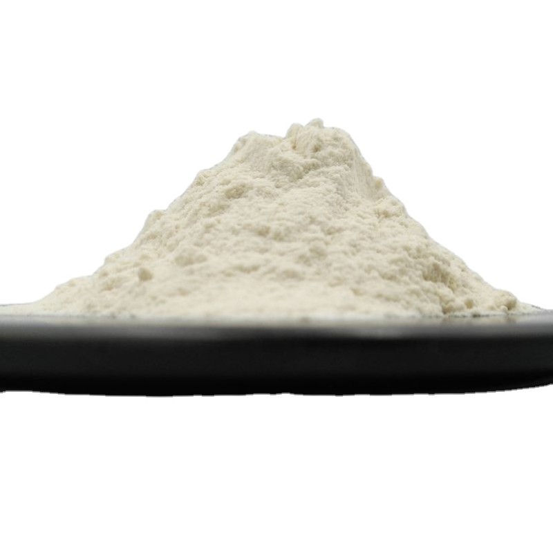 Organic Pea Protein Manufacturer - Wholesale Ideal Vegan Plant Protein for Nutrition Supplement