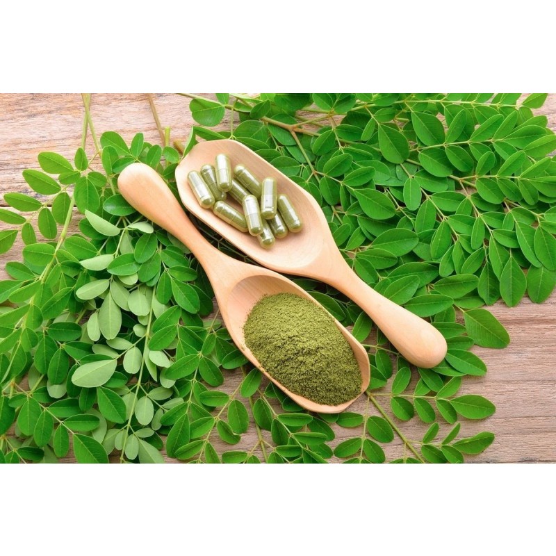 Moringa Leaf Powder Manufacturer - Factory Supply High Quality Organic Food Grade Healthcare Product Bulk Powder
