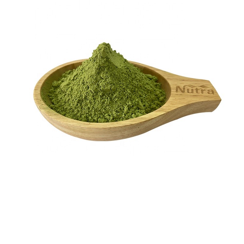 Barley Leaf Juice Powder Manufacturer - China Factory Organic Barley Grass Powder Supply