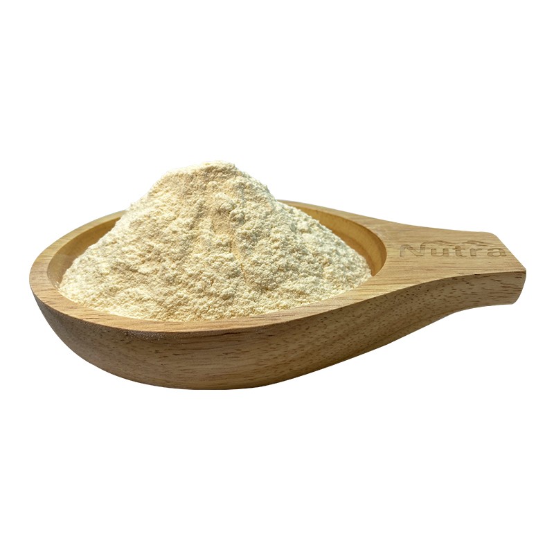 Organic Soy Protein Powder Manufacturer - Wholesale Food Additives Soy Protein Powder