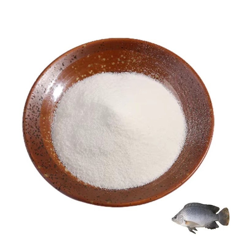 Ceremonial Grade Matcha Powder Manufacturer - USDA Organic Certified Free Sample Supply