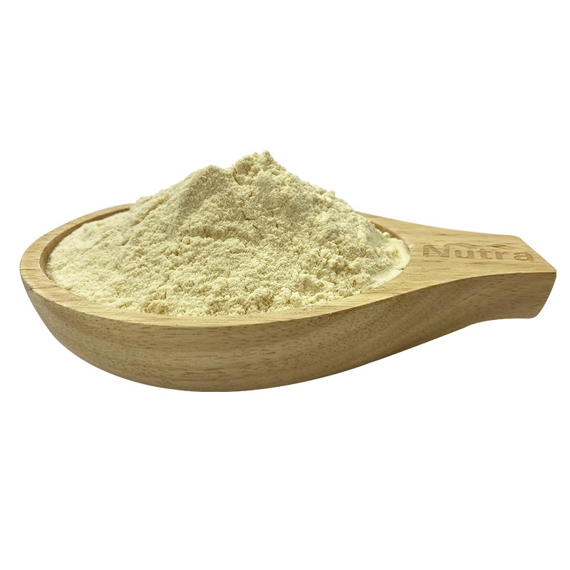 Organic Bee Honey Powder Manufacturer - High Quality Instant Bee Honey Powder Supply