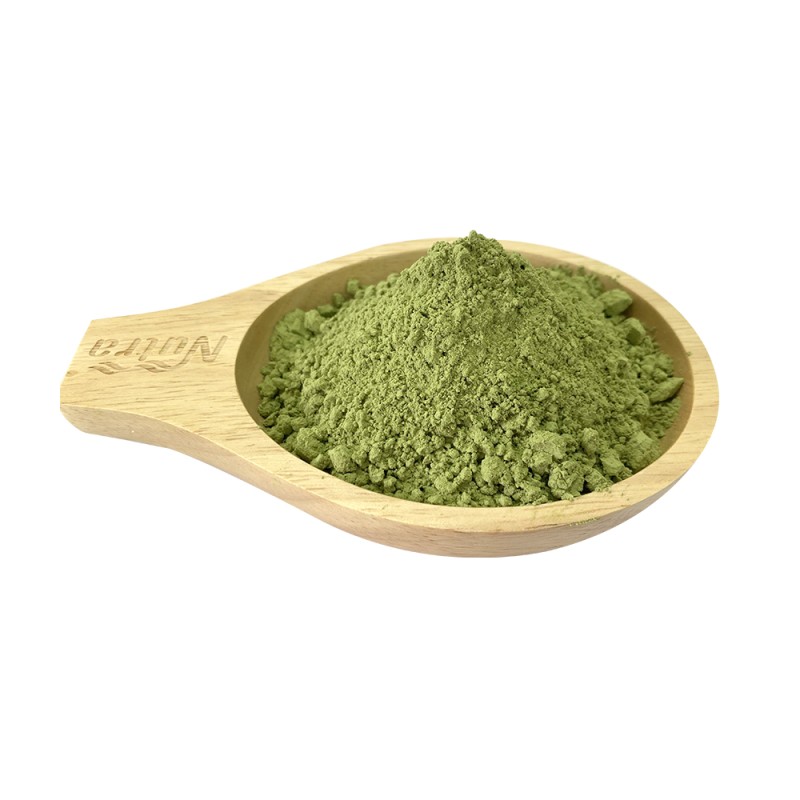 Barley Grass Powder Manufacturer - Hot Selling Barley Grass Juice Extract Powder