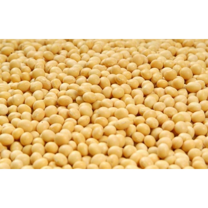 Organic Soy Protein Powder Manufacturer - Wholesale Food Additives Soy Protein Powder