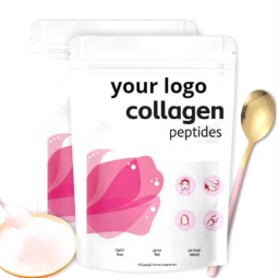 Ceremonial Grade Matcha Powder Manufacturer - USDA Organic Certified Free Sample Supply