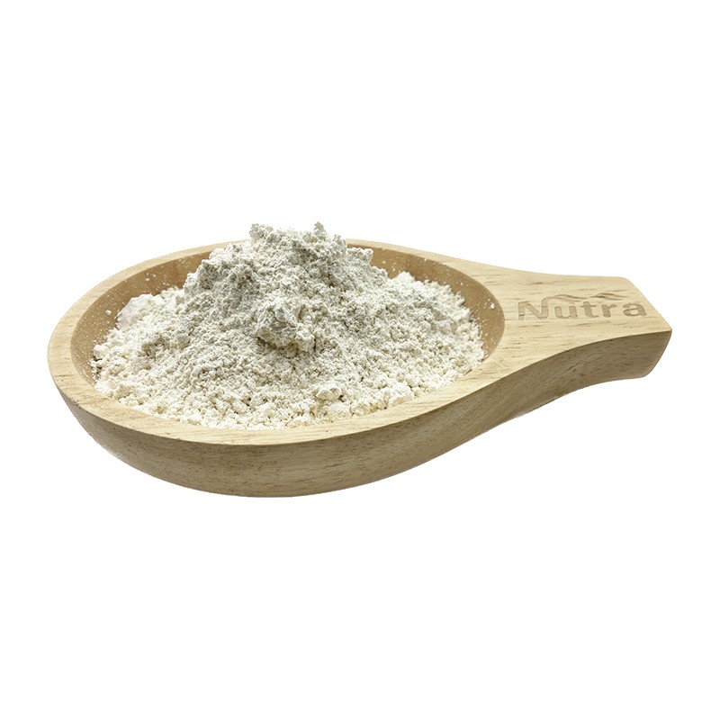 Organic Rice Protein Isolate Manufacturer - Bulk Bag Food Ingredients HACCP Organic Halal Best Price for Private Label