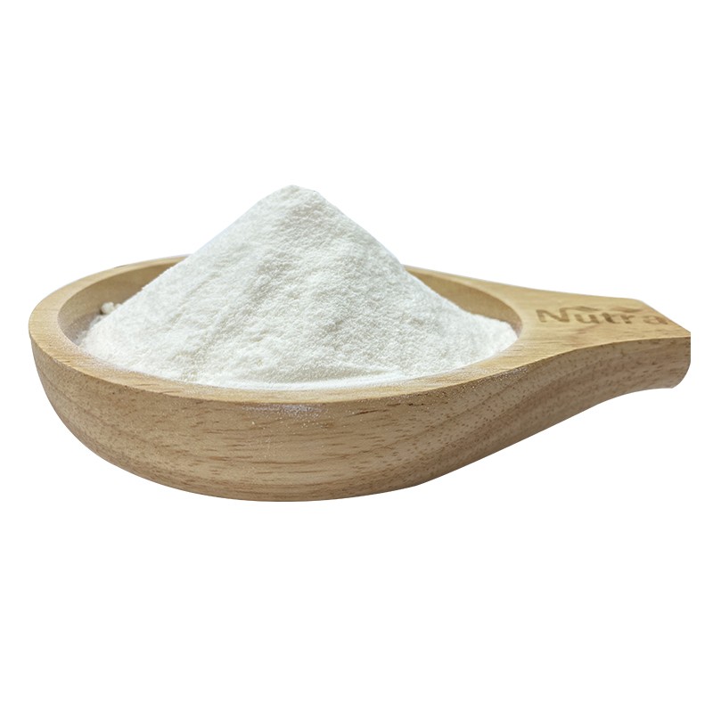 Organic Coconut Milk Powder Manufacturer - Instant Soluble Powder for Beverage Supply