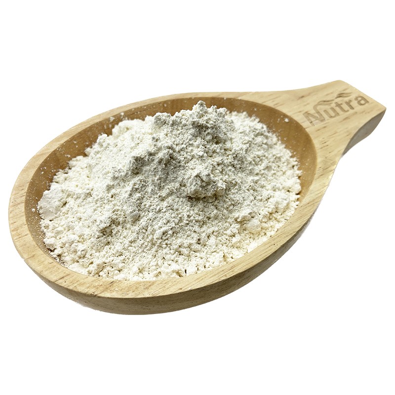 Organic Rice Protein Isolate Manufacturer - Bulk Bag Food Ingredients HACCP Organic Halal Best Price for Private Label