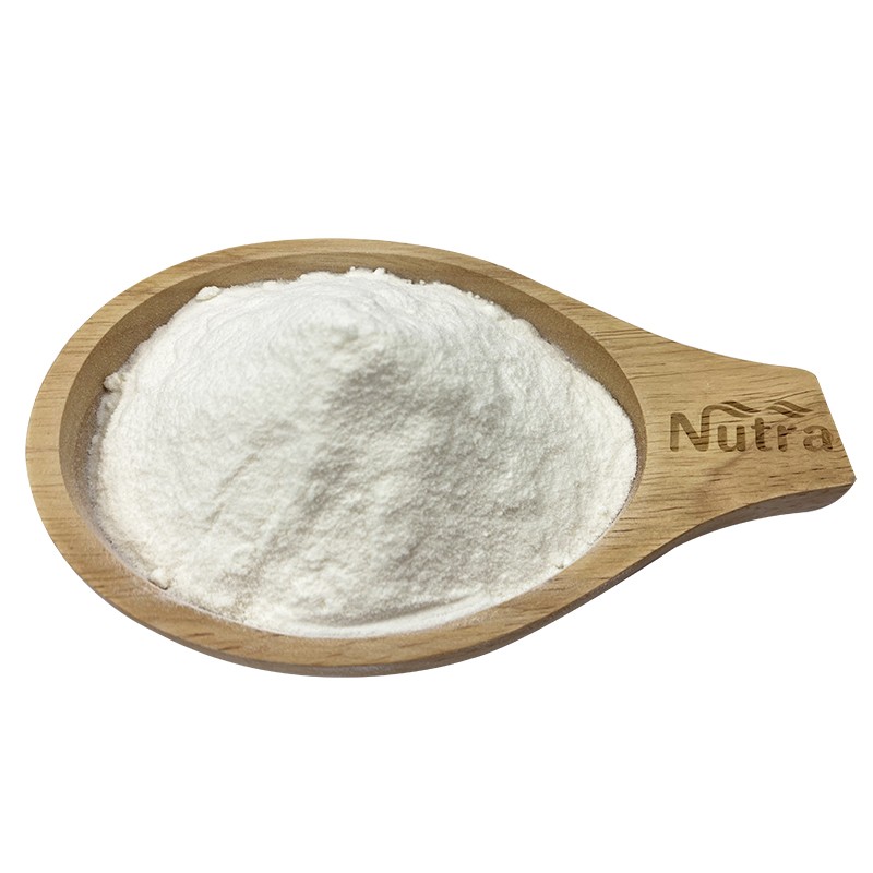 Organic Coconut Milk Powder Manufacturer - Instant Soluble Powder for Beverage Supply