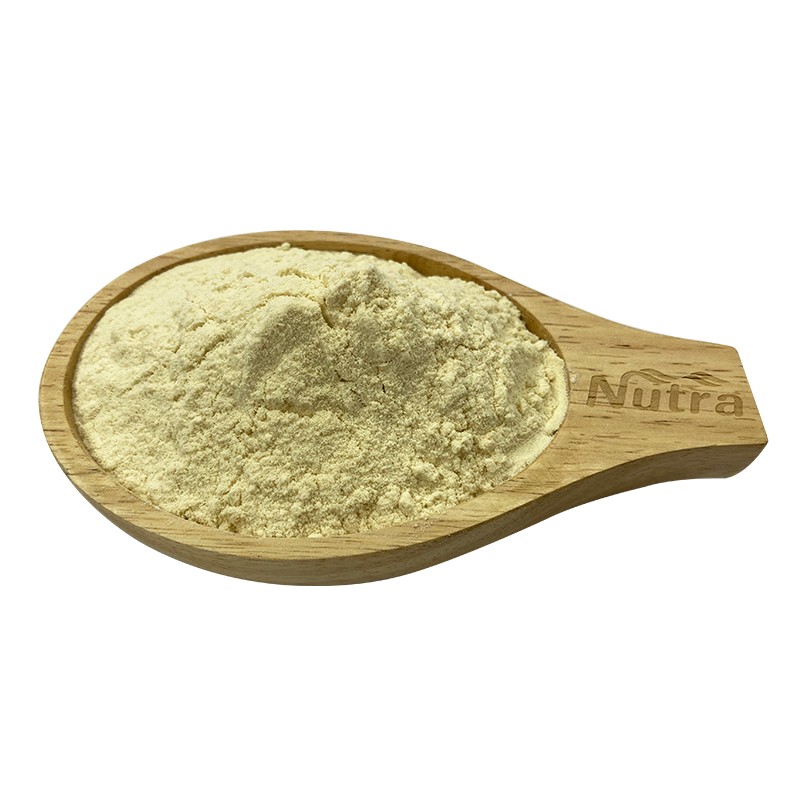 Organic Bee Honey Powder Manufacturer - High Quality Instant Bee Honey Powder Supply