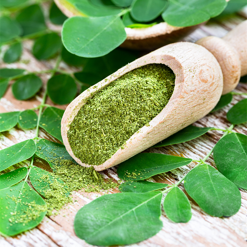 Organic Moringa Powder Manufacturer - 99.999% Pure Factory Supply High Quality Moringa Oleifera Powder