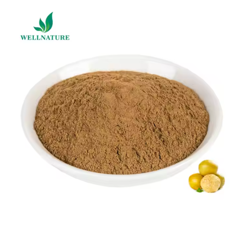 Ceremonial Grade Matcha Powder Manufacturer - USDA Organic Certified Free Sample Supply