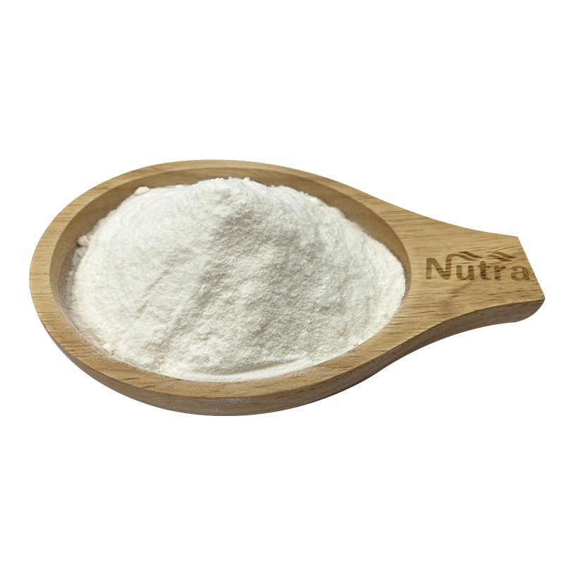 Organic Coconut Milk Powder Manufacturer - Instant Soluble Powder for Beverage Supply
