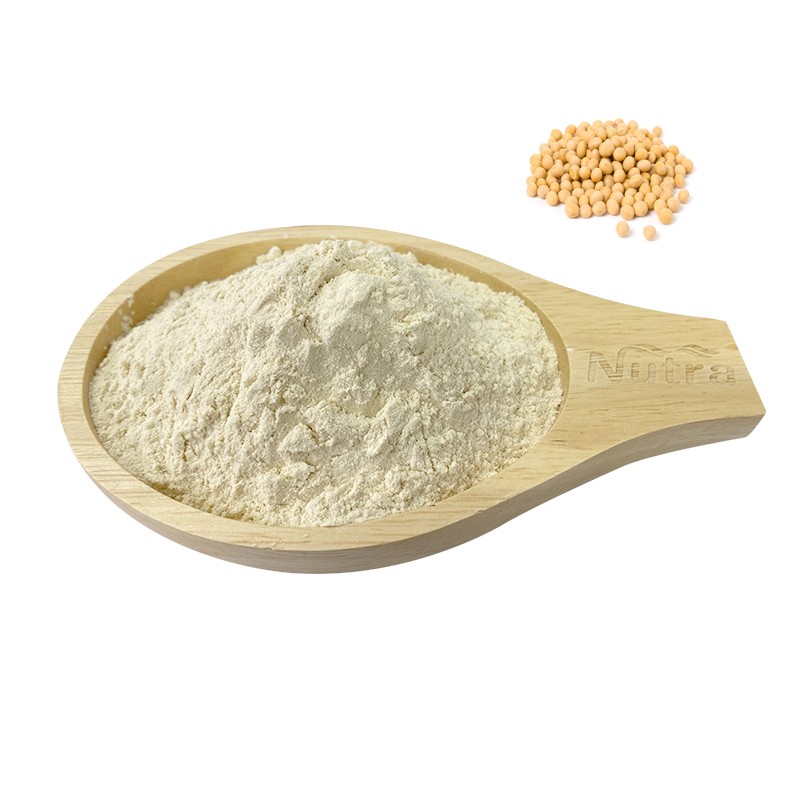 Organic Hemp Protein Powder Manufacturer - Pure Natural Food Supplements Hemp Seed Extract Powder