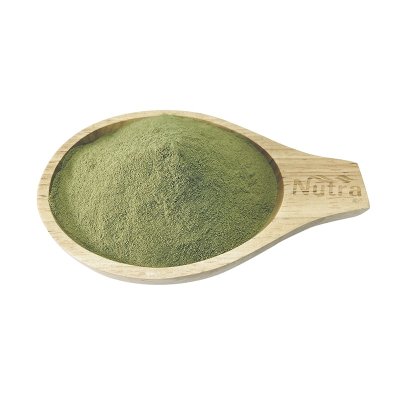 Green Vegetable Powder Manufacturer - Wholesale Organic Spinach Extract Powder for Sale