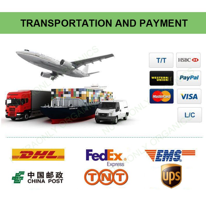 Hemp Protein Powder Manufacturer - Wholesale Superfoods Seed High Quality Light Green Organic Hemp Isolate Powder 2 Years