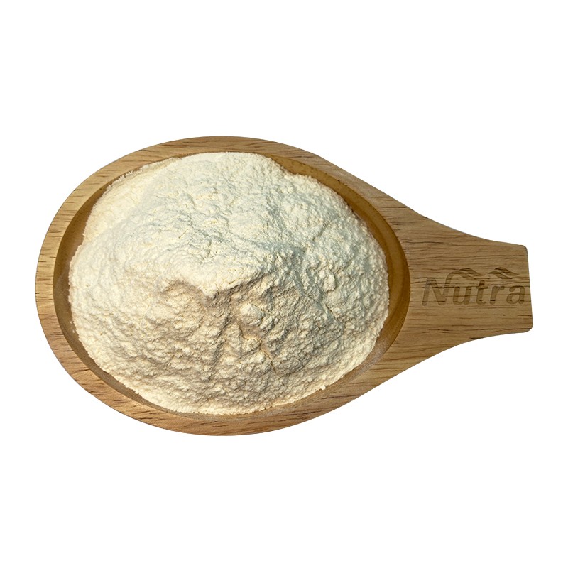 Organic Pea Protein Powder Manufacturer - Best Quality Factory Supply Bulk Hot Sale Organic Pea Protein Isolate