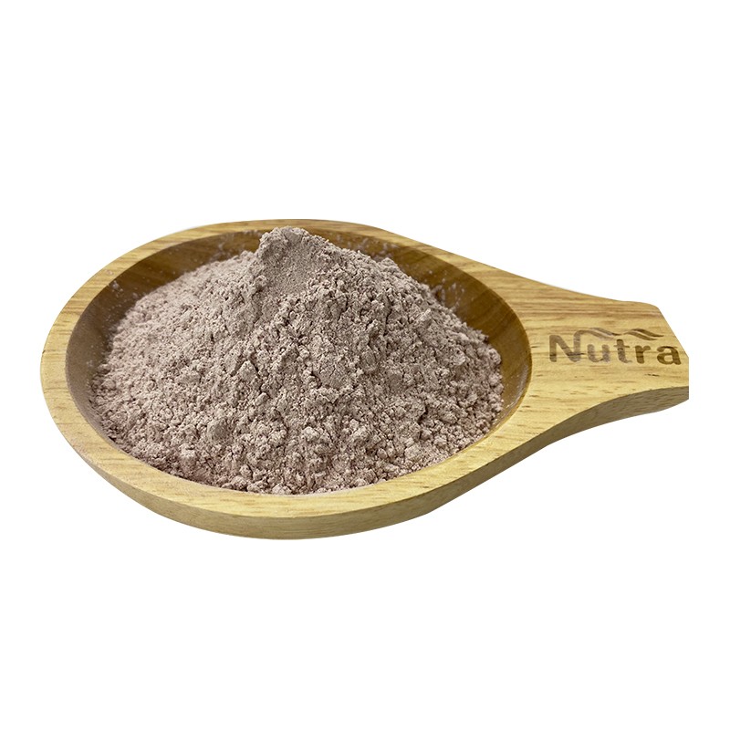 Taro Powder Manufacturer - Wholesale Natural Taro Root Extract Pure Fragrant Taro Powder