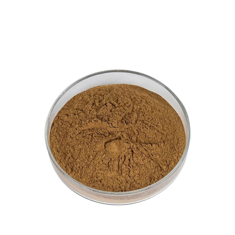 Lion's Mane Mushroom Extract Powder Manufacturer - Cheap Price Hericium Erinaceus Polysaccharide Supply