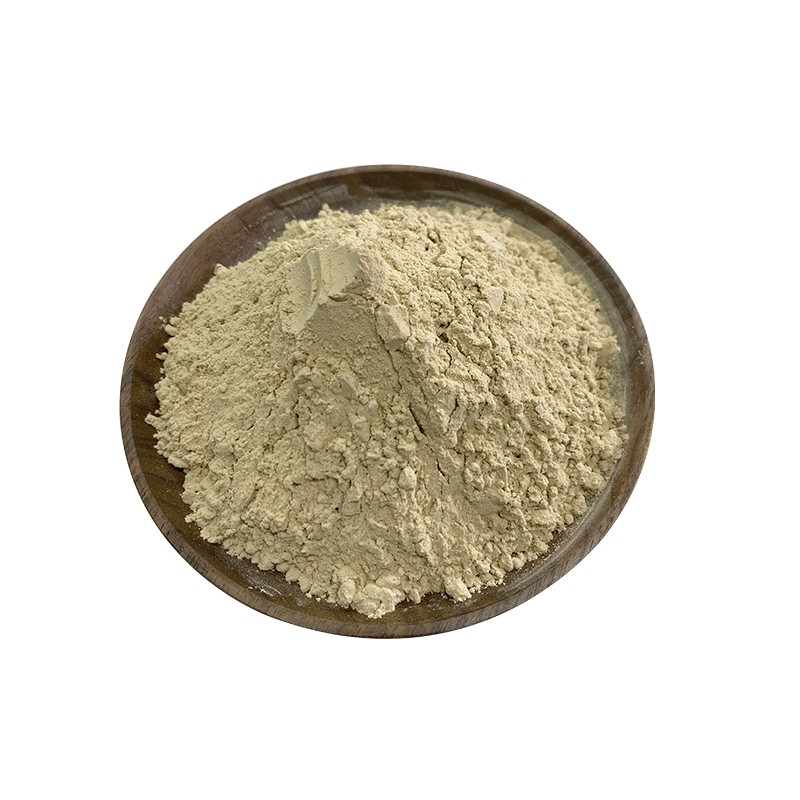 Non-dairy Creamer Manufacturer - Factory Price Vegetable Fat Powder Non-dairy Powder