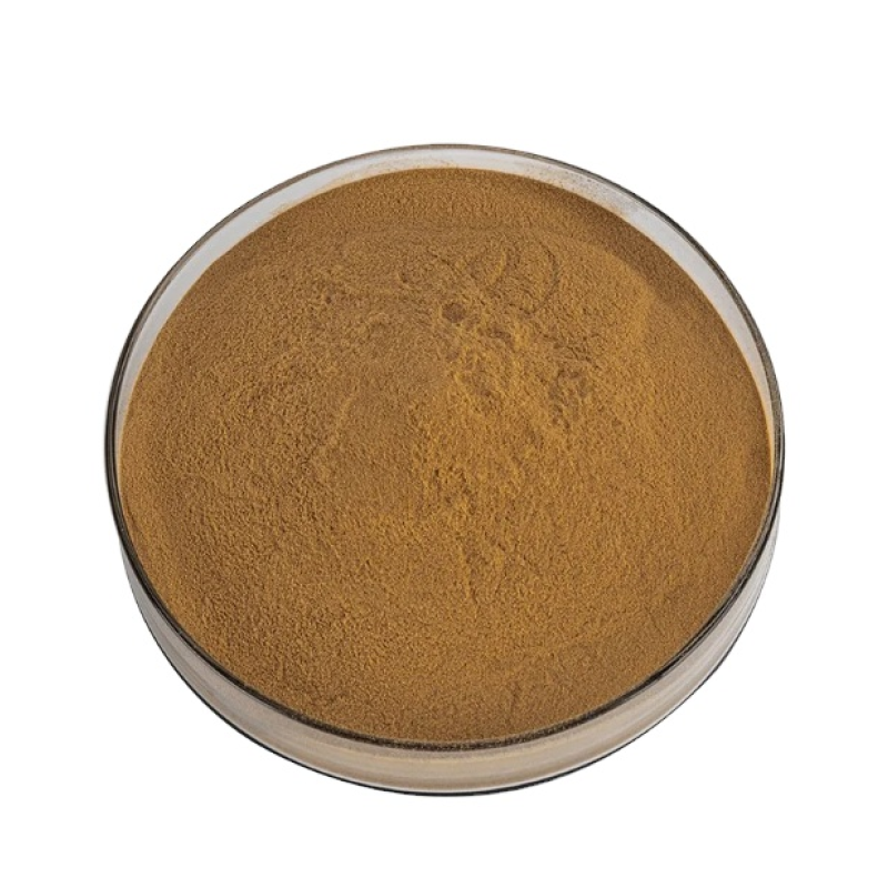 Rhododendron Caucasicum Extract Manufacturer - Organic Powder for Health Care Supply